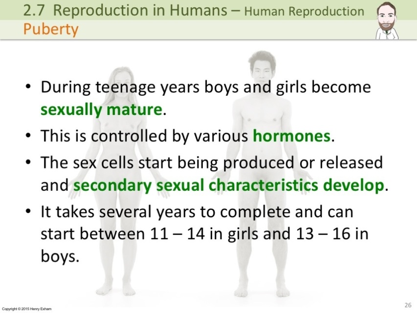 Igcse Human Reproduction Presentation