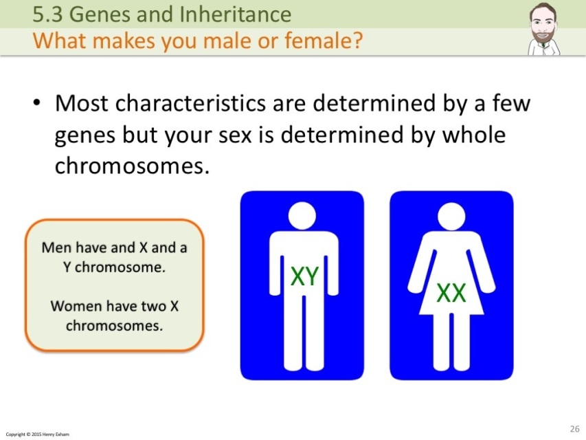 Igcse Genes And Inheritance